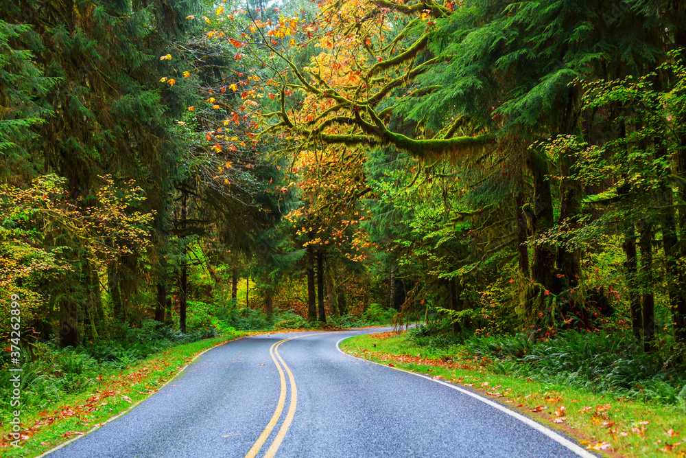 Fototapeta premium Autumn in Olympic Park