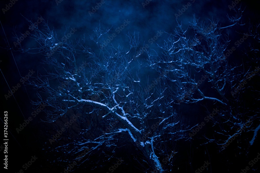 Obraz premium lightning in the night