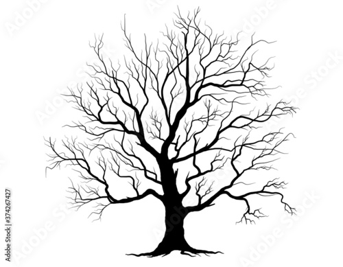 Tree and root silhouette isolated on white background. Tree and roots LOGO style.	
