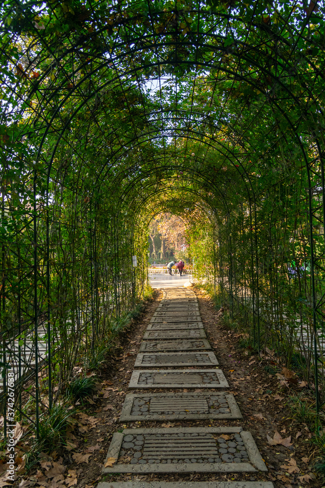 Hubei Wuhan Liberation Park late autumn scenery Hubei Wuhan Liberation Park late autumn scenery