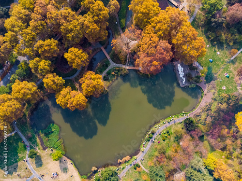 Hubei Wuhan Liberation Park late autumn scenery
