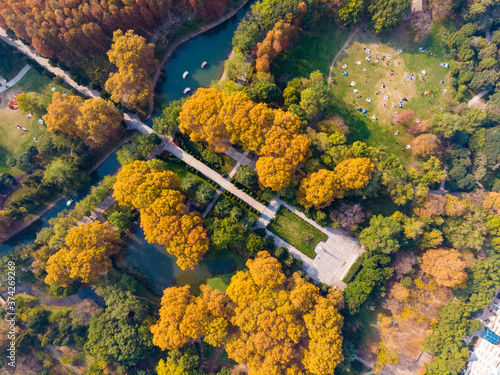 Hubei Wuhan Liberation Park late autumn scenery