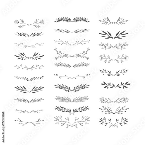 Hand drawn floral dividers. Botanical design. Vector nature frame elements. 