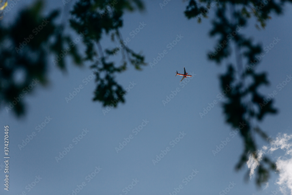 red plane flight blue sky high tree red plane flight blue sky high tree