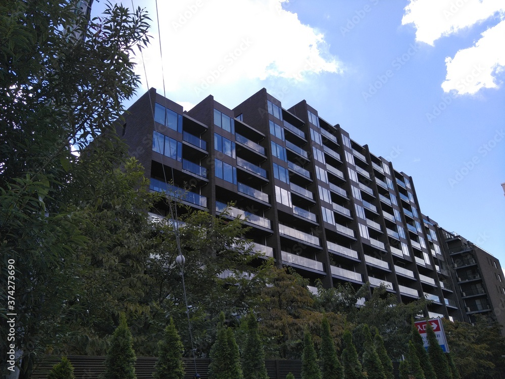 荘厳なマンション 荘厳なマンション