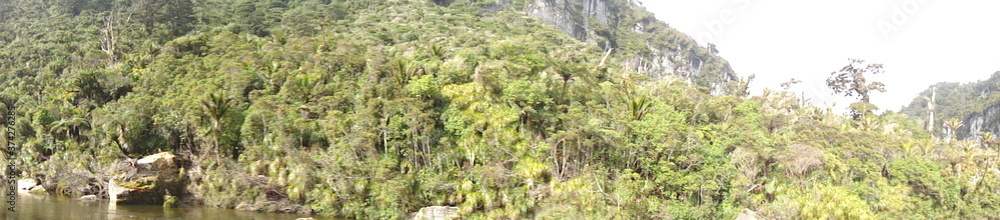 punakaiki in newzealand