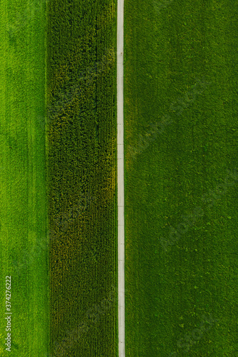 Areal view of crop fields in sunny summer day in Austria photo