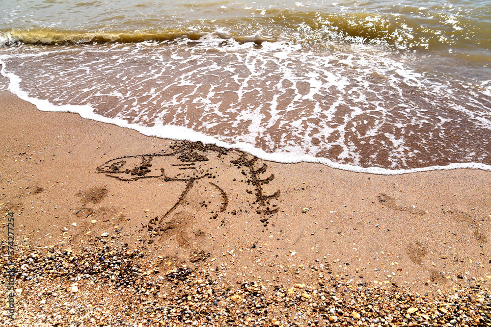 image of a horse on the sea sand image of a horse on the sea sand