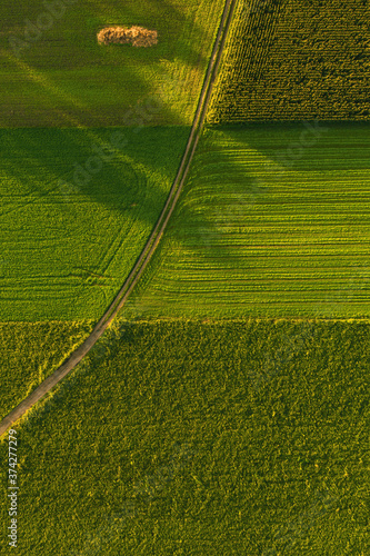 Areal view of crop fields in sunny summer day in Austria photo