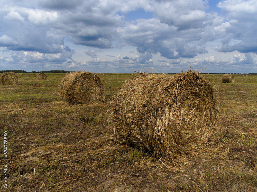 Straw stacks in the field.Typical Russian landscape. Konstantinovo, Ryazan Oblast, Russia.