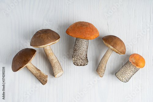 Top view on five ripe aspen and birch mushrooms or orange and brown cap boletus ready for cooking laying on whie wooden background representing autumn harvesting season. Horizontal orientation photo