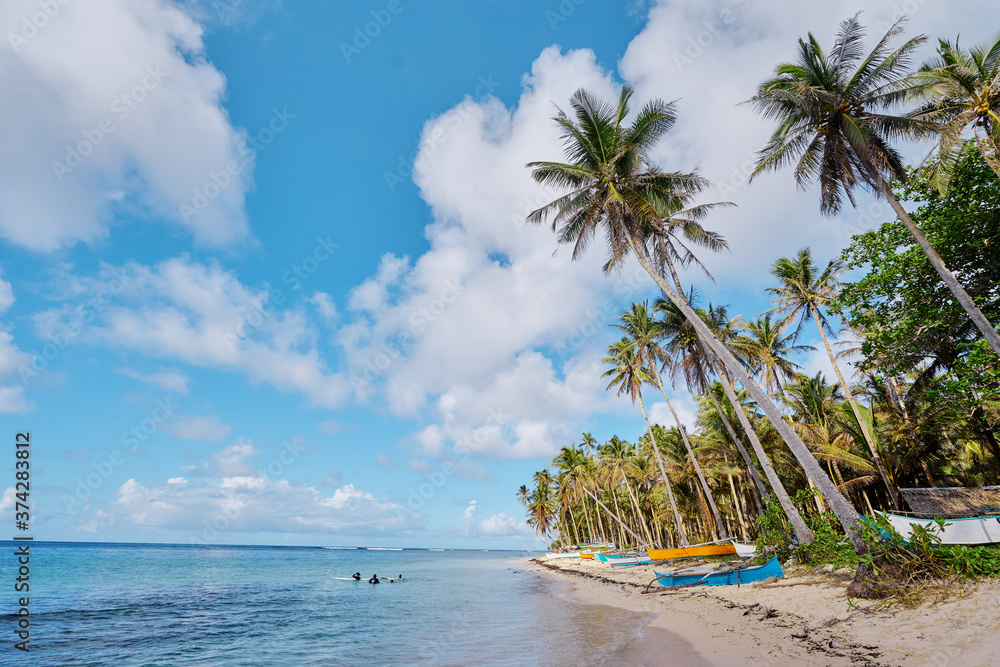 Obraz premium Tropical beach with coconut palm trees.