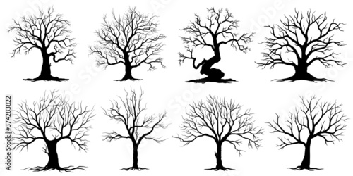 set of trees