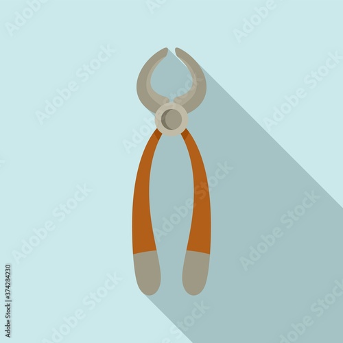 Shoe repair pliers icon. Flat illustration of shoe repair pliers vector icon for web design