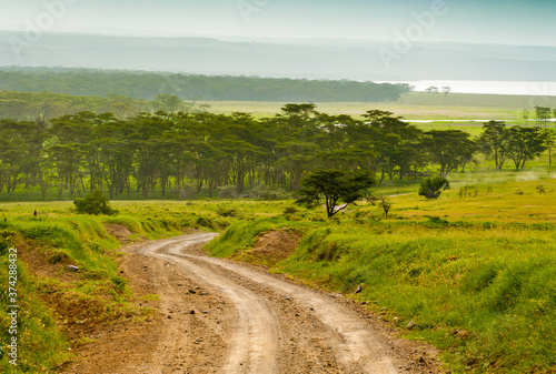 Cuadro en lienzo Beautiful landscape. Kenya. Africa