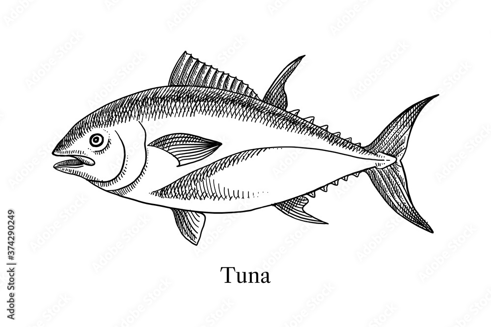 Fototapeta premium Печать