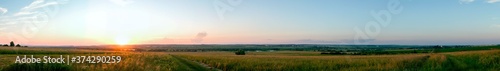 Summer sunset over wheat field. Beautiful sunset sky over countryside © mikhailgrytsiv