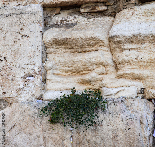 Western Wall Ancient Stones