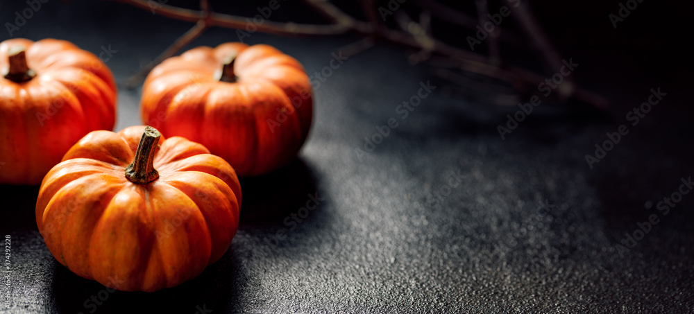 Pumpkins on a dark background, an impression on the theme of autumn and halloween with copy space Pumpkins on a dark background, an impression on the theme of autumn and halloween with copy space