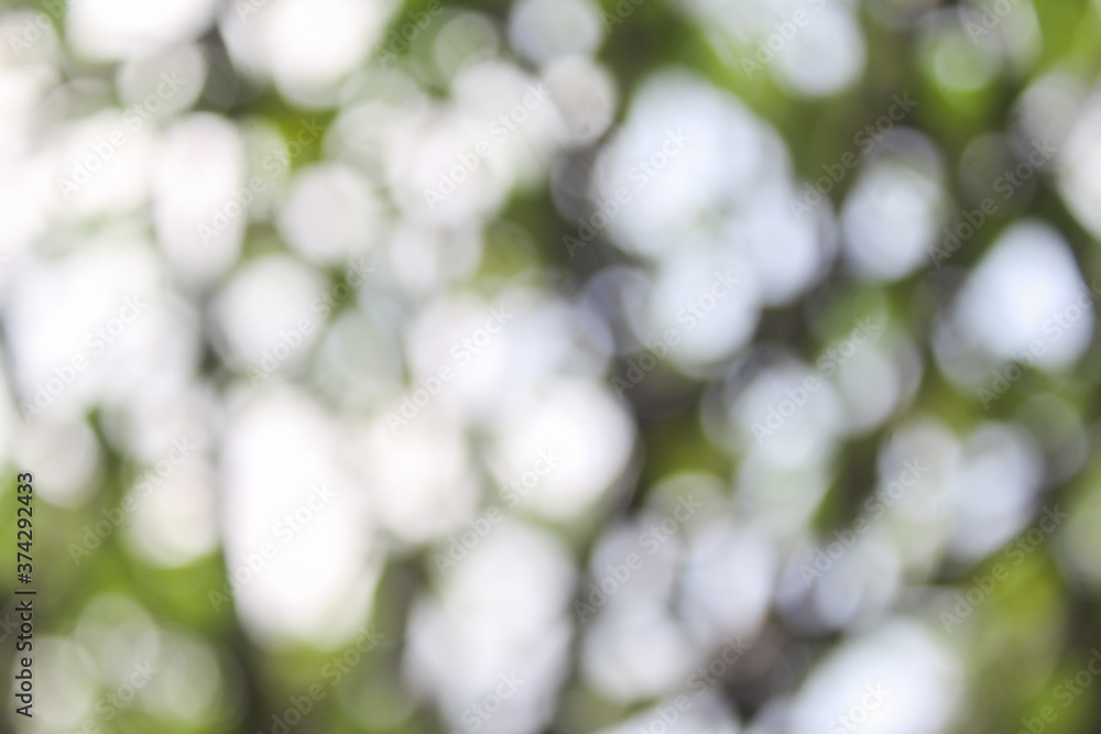 Obraz premium Natural bokeh, can be made as a background
