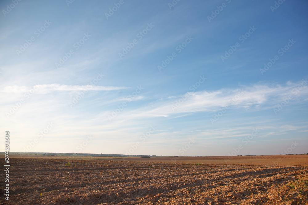Rural landscape during harvest in the field
