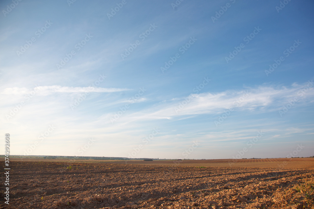 Rural landscape during harvest in the field Rural landscape during harvest in the field