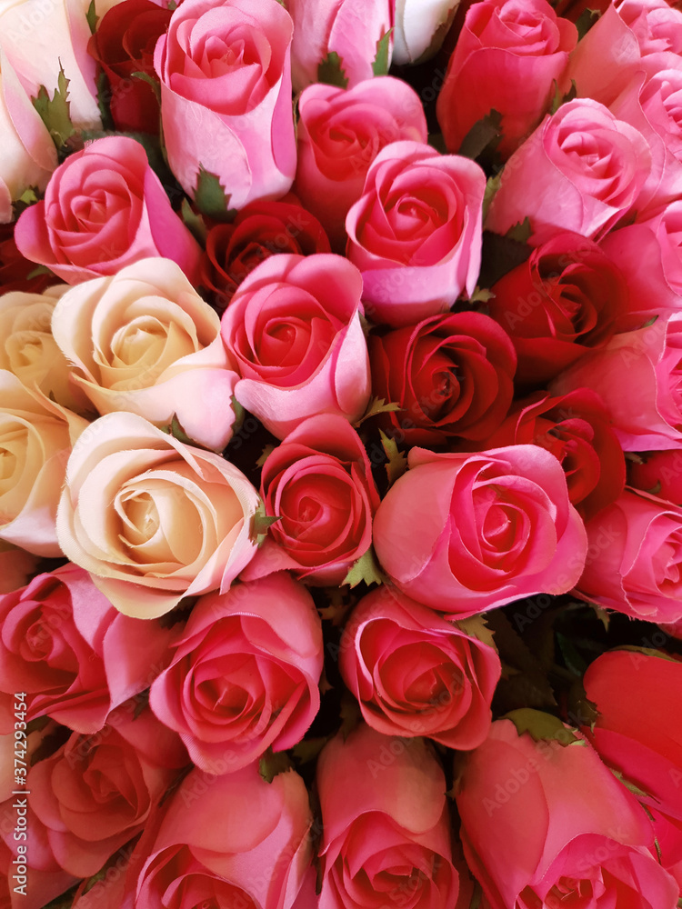 Background of pink and red roses.