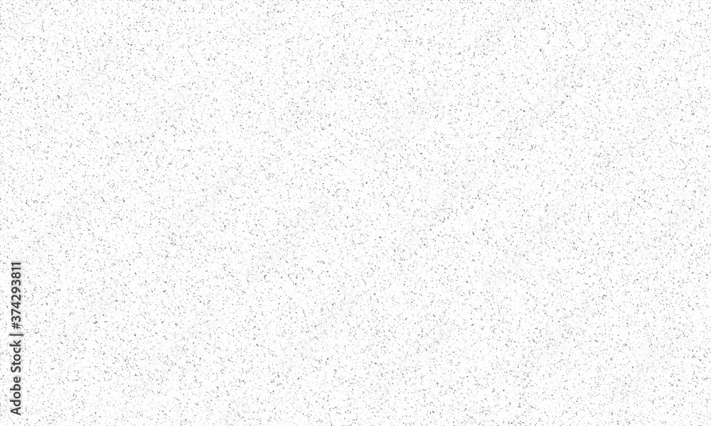 Fototapeta premium czarno białe tło grunge, składające się z małych ziaren, ściółki, ziarna. Białe tło poplamione drobnymi cząstkami.
