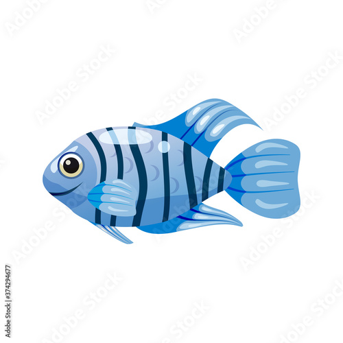 Tropical exotic coral fish, bright colorful coloring