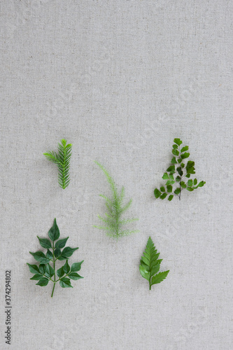 green leaves on gray background