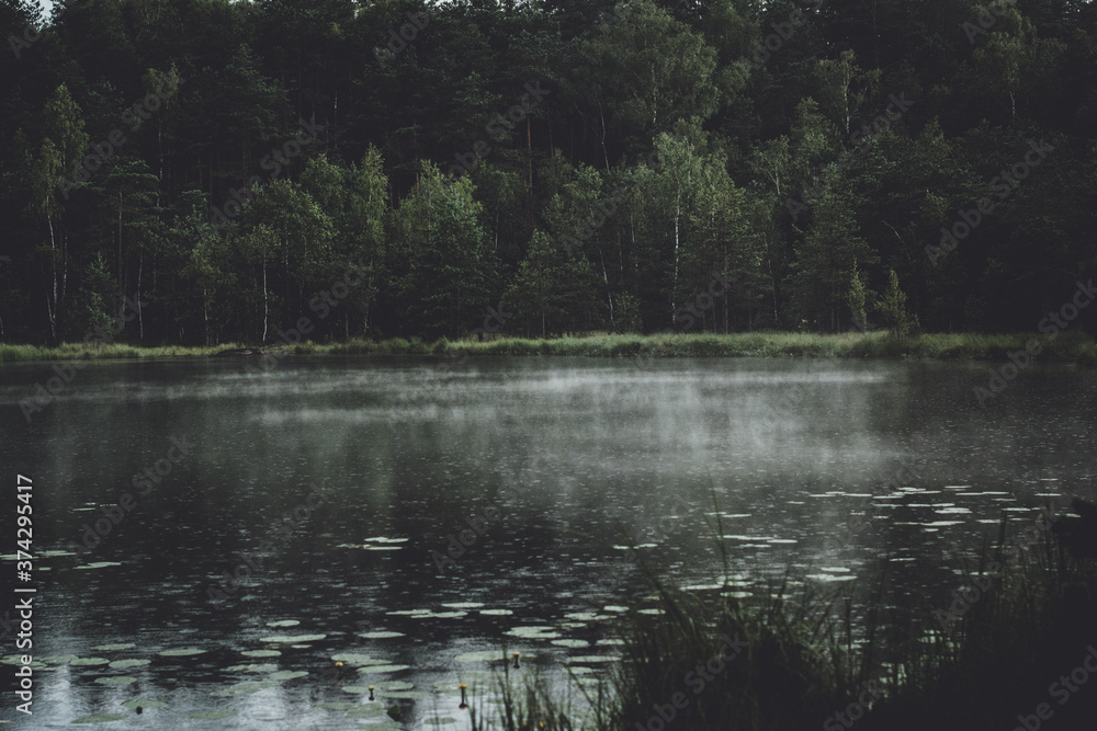Rain and fog on the surface of the water in the lake Rain and fog on the surface of the water in the lake
