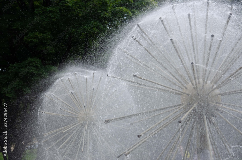 Fountain ball. Water jets in the shape of a dandelion.