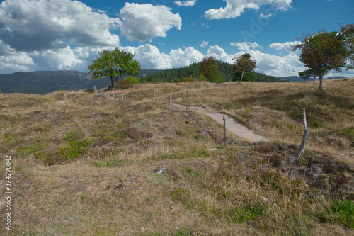 Vogesenlandschaft auf dem Hohrodberg 