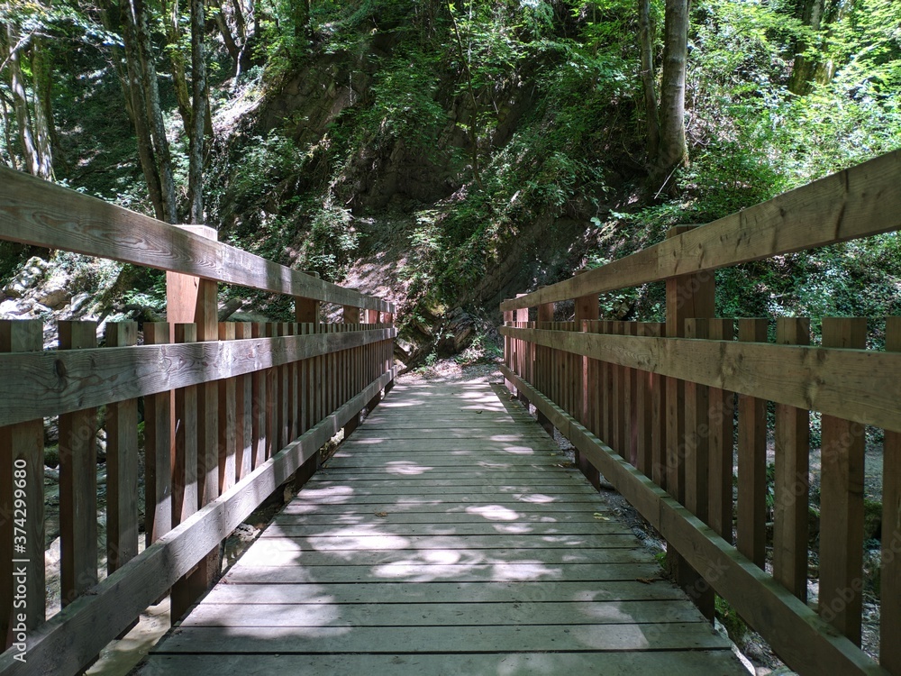 wooden bridge in the park