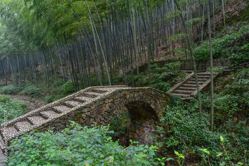 Summer scenery in Yixing Zhuhai Scenic Spot  Jiangsu Province  China