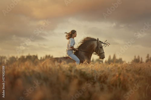 Beautiful  young woman on spanish buckskin horse in rue field at sunset