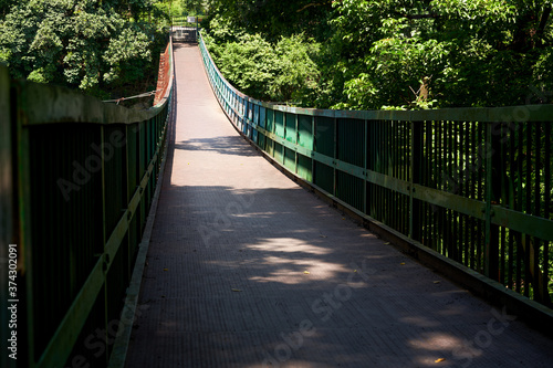 Fototapeta Naklejka Na Ścianę i Meble -  A wooden suspension bridge over the river in the forest
