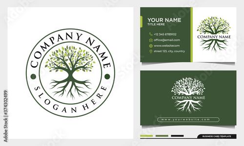 Tree of life logo design, badge nature tree illustration with business card template