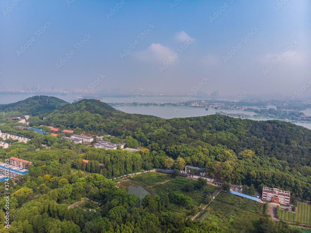 Summer scenery of Wuhan Botanical Garden, Hubei, China