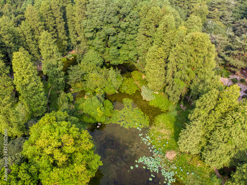 Summer scenery of Wuhan Botanical Garden, Hubei, China