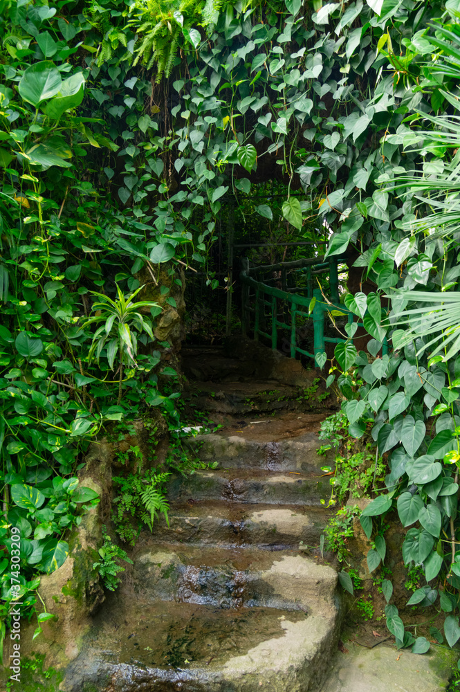 Summer scenery of Wuhan Botanical Garden, Hubei, China Summer scenery of Wuhan Botanical Garden, Hubei, China