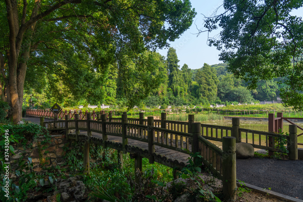 Fototapeta premium Summer scenery of Wuhan Botanical Garden, Hubei, China