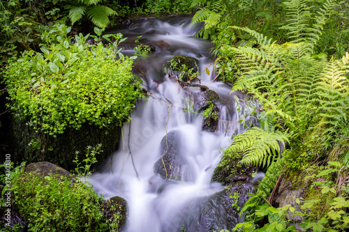 silk like water flow in forest