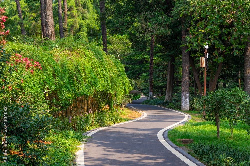 Fototapeta premium Summer scenery of Wuhan Botanical Garden, Hubei, China