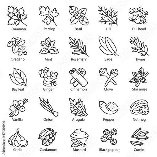 Spice icon set. Kitchen herbs, linear icons. Condiment. ginger, rosemary, sage, thyme, mint, onion, basil, arugula, nutmeg, mustard, vanilla etc, Line with editable stroke