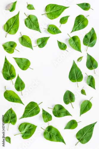 Top view frame of green leaves. Nature concept layout