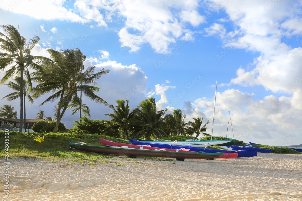 Multicolored canoes on the sand, with palm trees in the background and blue sky.