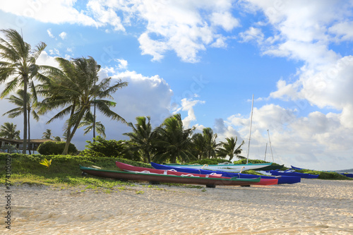 Multicolored canoes on the sand, with palm trees in the background and blue sky.