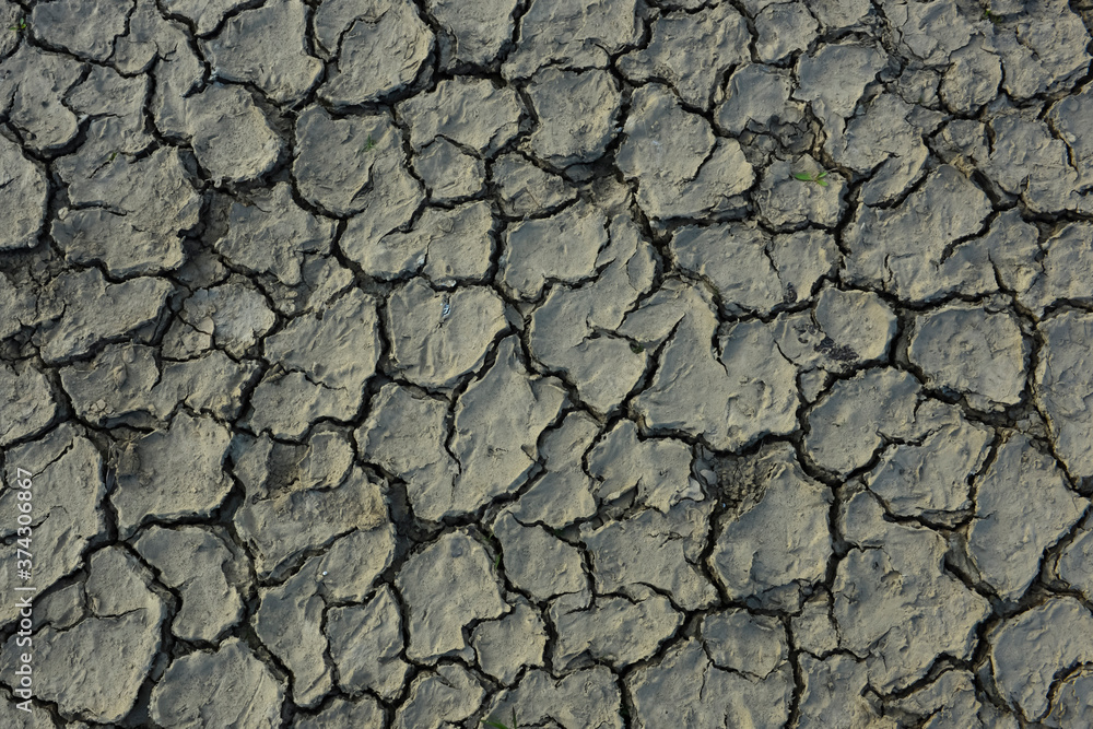 Brown dry soil background At the top view Brown dry soil background At the top view