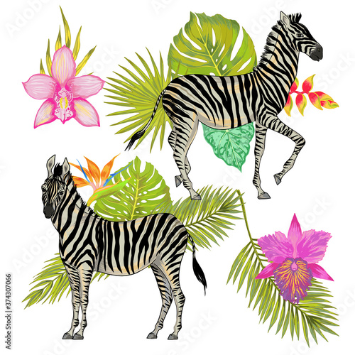 Vector with watercolor effect cute realistic illustration of zebra with tropical background of tropical flowers and leaves